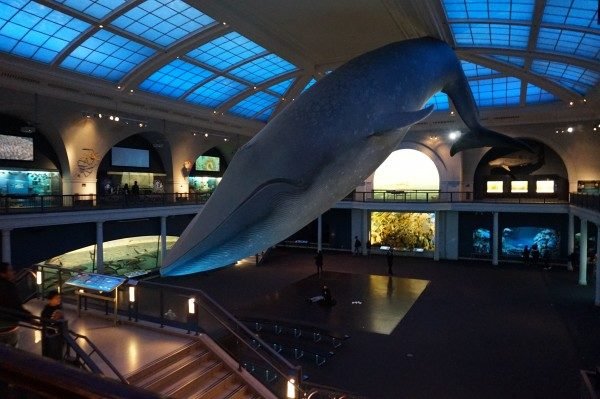 IMG_0223 Mejores museos en Nueva York para conocer en tu próximo viaje