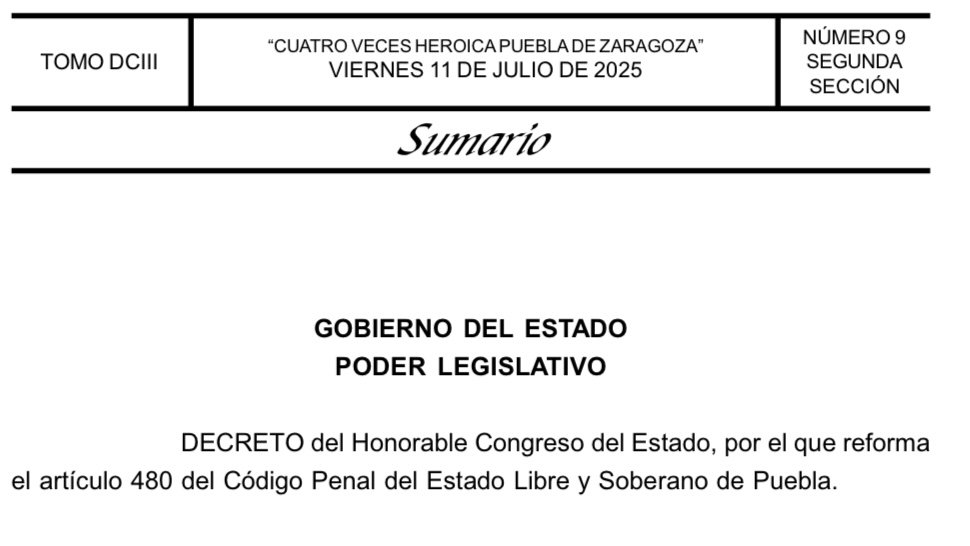 puebla-cndh-pide-invalidar-articulo-de-ciberasedio-ante-la-scjn