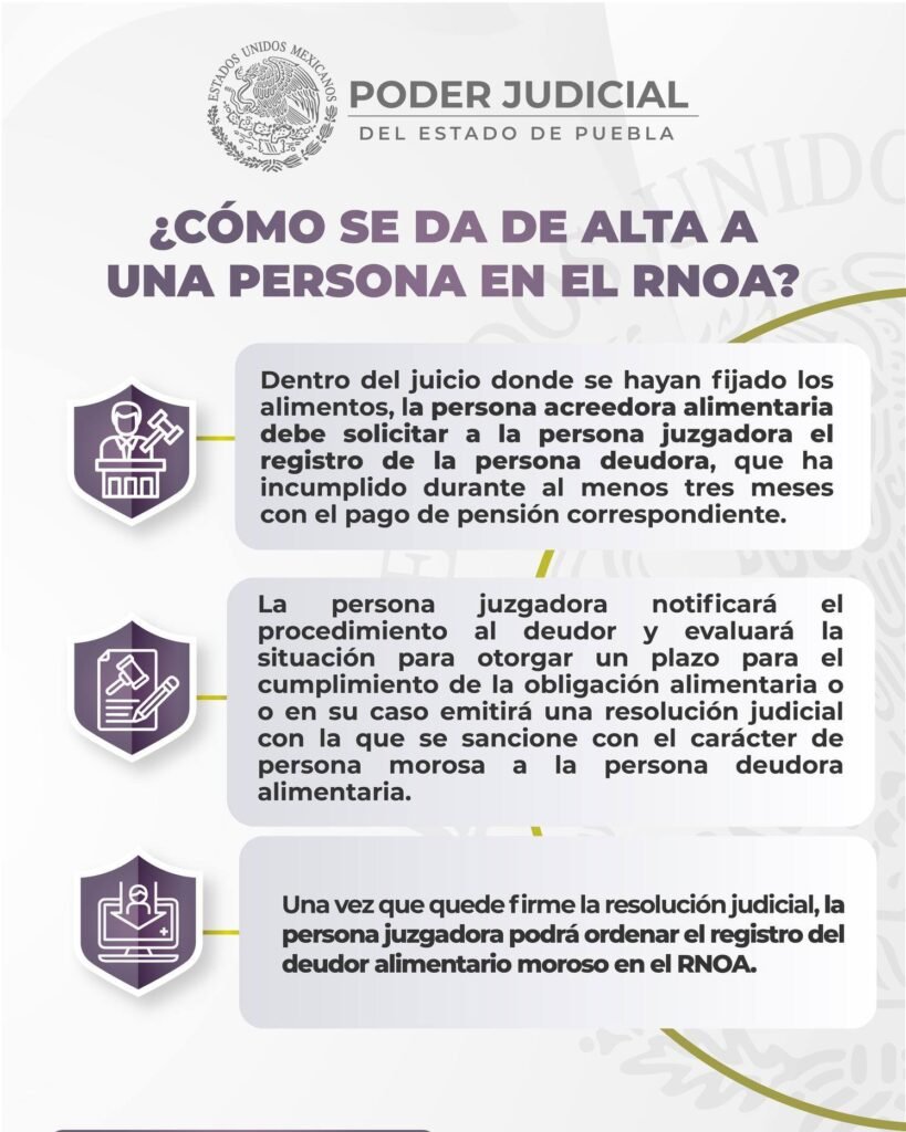 534629055_1236873568480936_7069985088239092253_n-819x1024 ¿Qué pasa si no pagas pensión? Te decimos cómo dar de alta a una persona en el RNOA