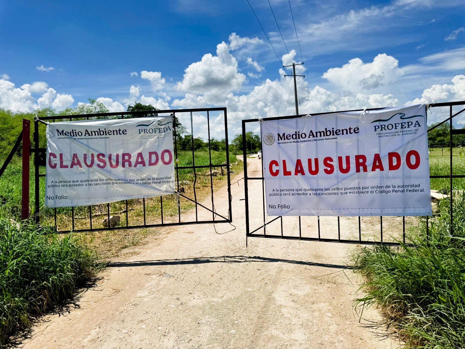 justicia-ambiental-profepa-clausura-granja-porcicola-en-yucatan