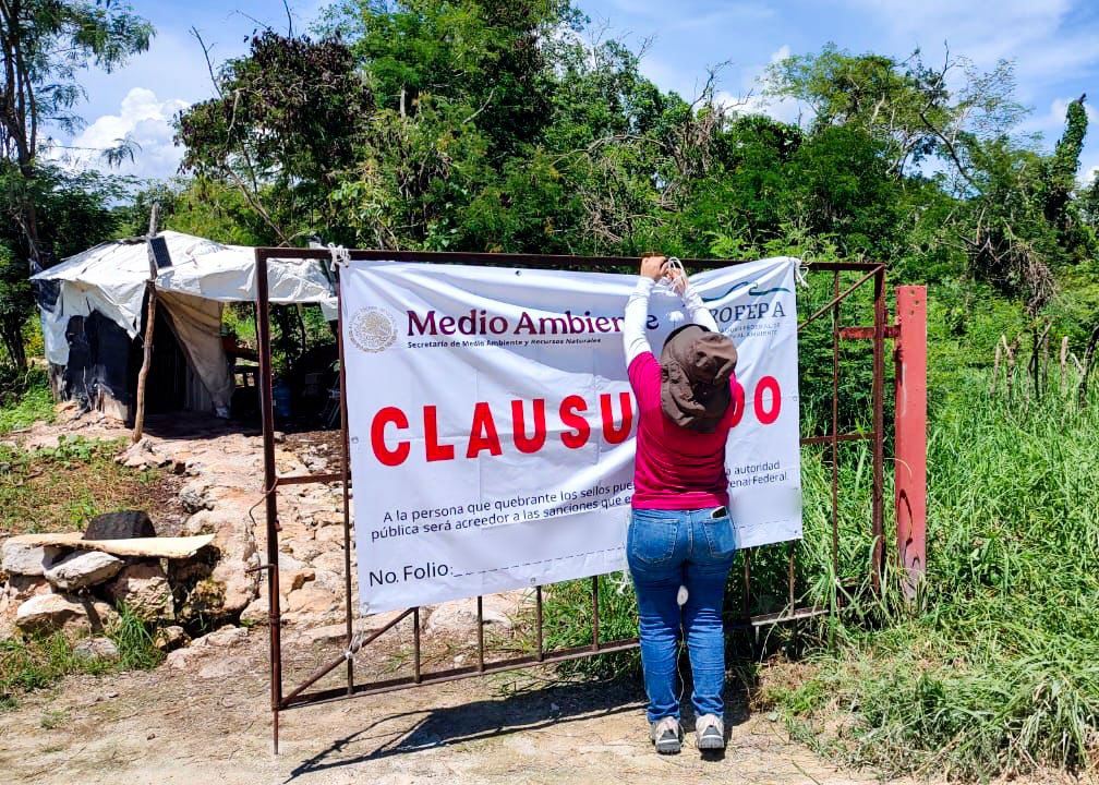 Claus_tot_def_Sant_Mar_Chi_02 Justicia ambiental: Profepa clausura granja porcícola en Yucatán