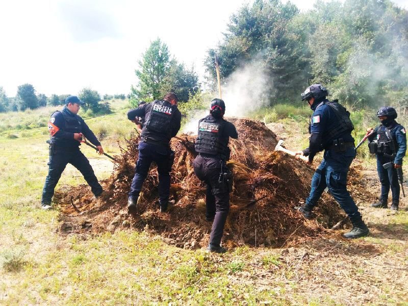 Forestal-2 SSP inhabilita 11 hornos clandestinos de tala ilegal en San Miguel Canoa