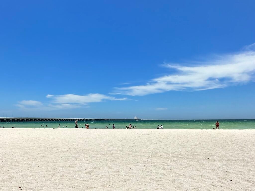 IMG_2687-1024x768 Carlos Alcaraz campeón en Nueva York: sexto Grand Slam a los 22 años